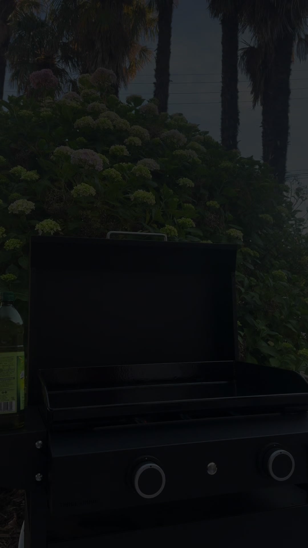 Vidéo UGC de Laure : Plancha d’extérieur, Vidéo TikTok : cuisine au jardin avec une plancha
