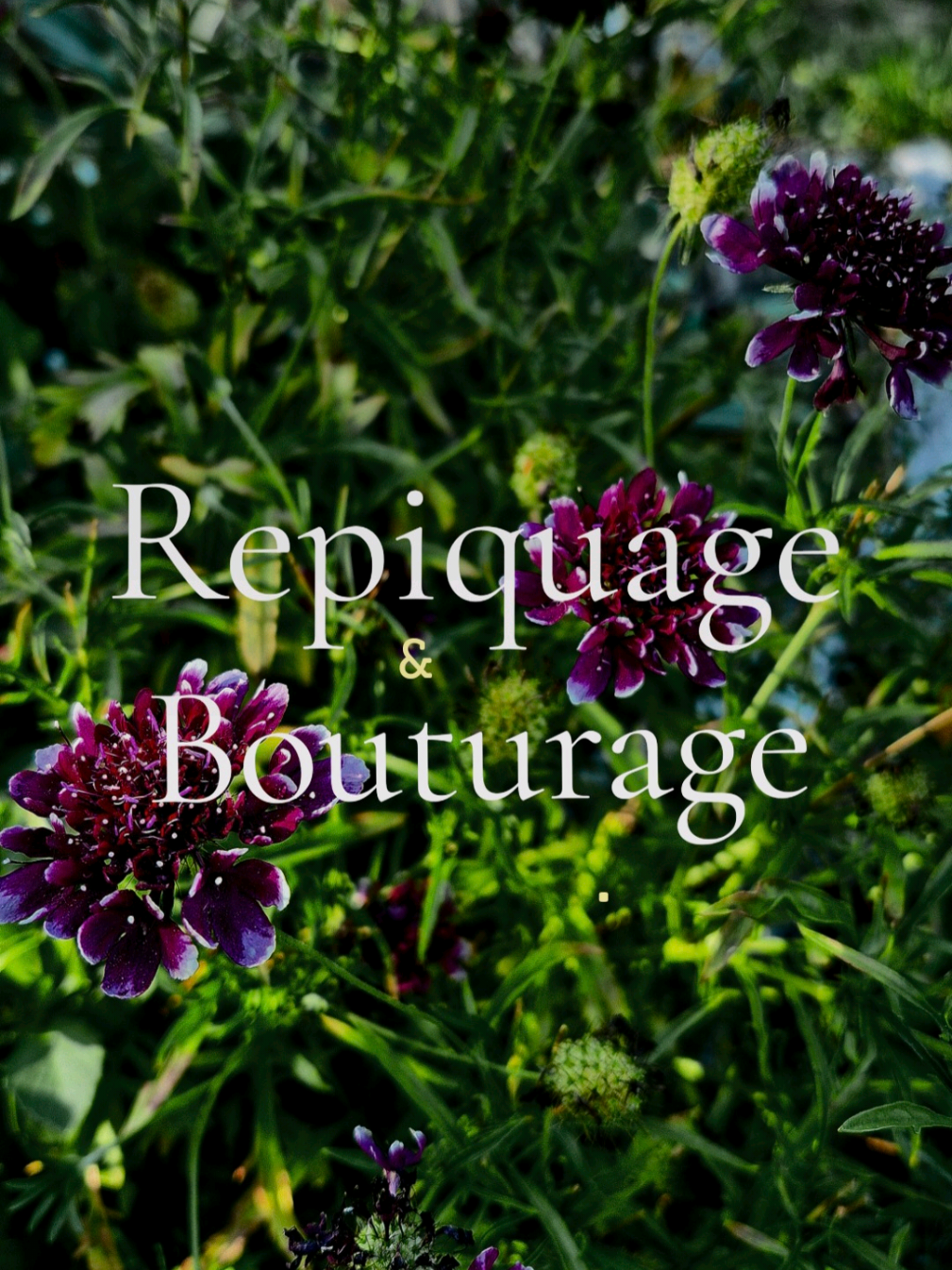 Vidéo UGC de Bérengère : Repiquage en godets, Vidéo TikTok : jeunes plants mis en pot avant plantation