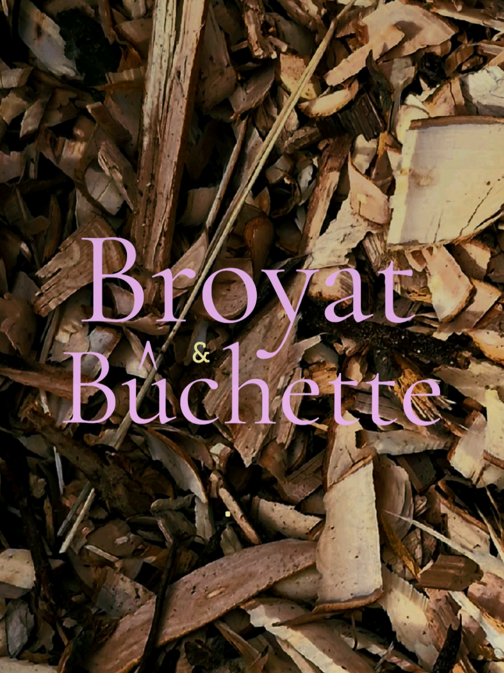 Vidéo UGC de Bérengère : Broyeur de végétaux, Vidéo TikTok : branches broyées pour pailler le potager