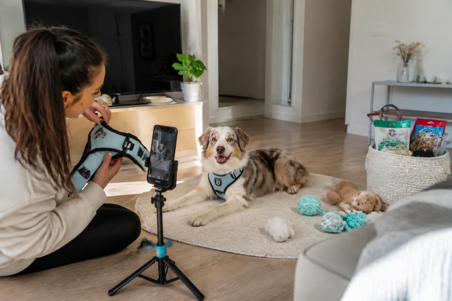 découvrez comment créer du contenu ugc authentique et engageant spécifiquement pour les marques d'animalerie, afin de renforcer leur présence et fidéliser les passionnés d'animaux.